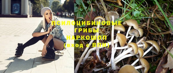 мескалин Елизово