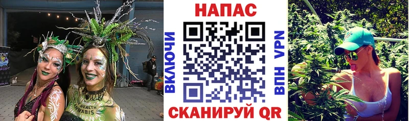 Купить  Камень-на-Оби  Каннабис план 